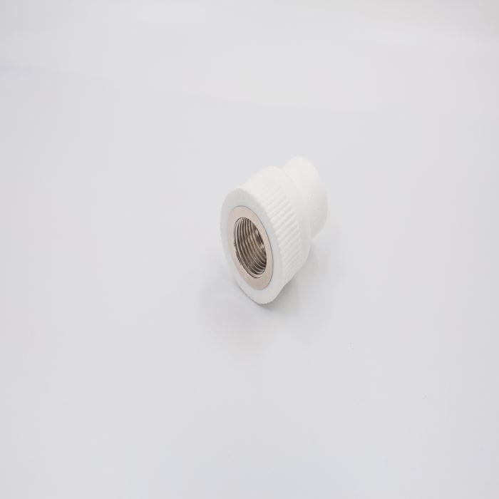 PPR Fittings high quality plastic tube ppr pipe inserts plastic end cap stop plug cups cover fitting