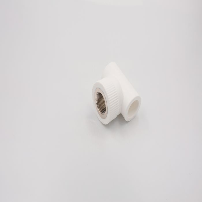 PPR Fittings high quality plastic tube ppr pipe inserts plastic end cap stop plug cups cover fitting