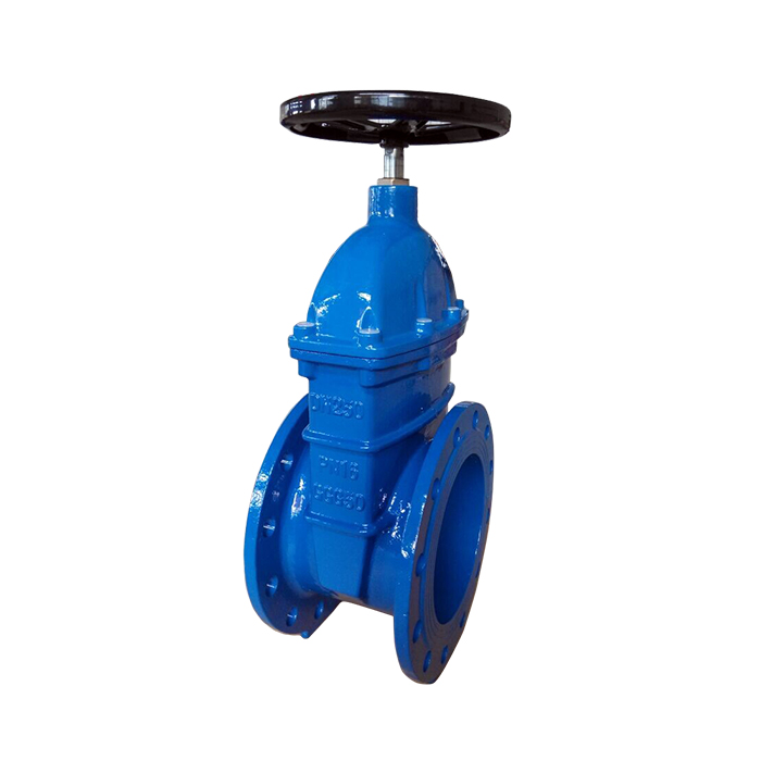 Gate valve for water(图1)